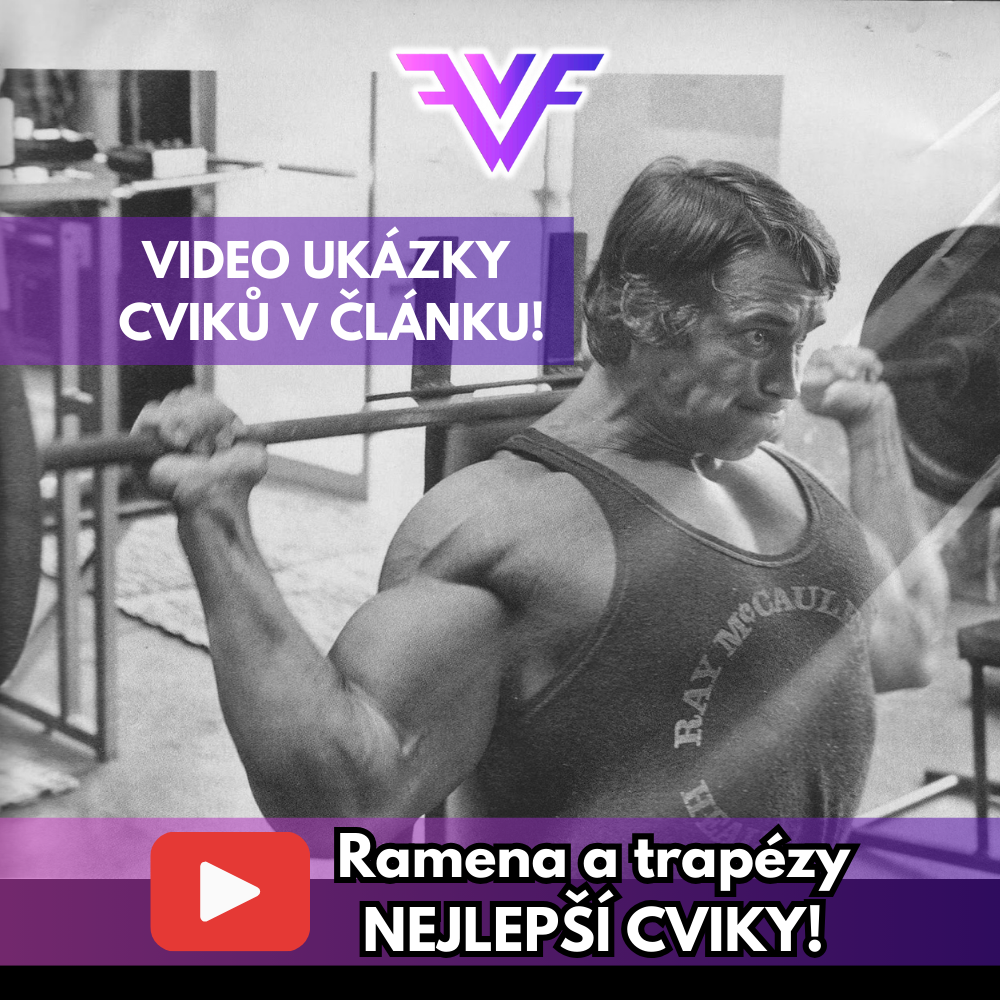WF ČLÁNEK 13.2.2025__